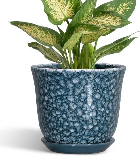 Ceramic pots for - ceramic, 5.6